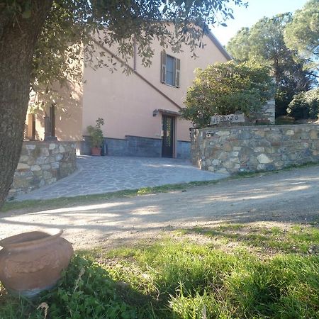 Agriturismo Il Pozzo Campagnatico Exterior photo